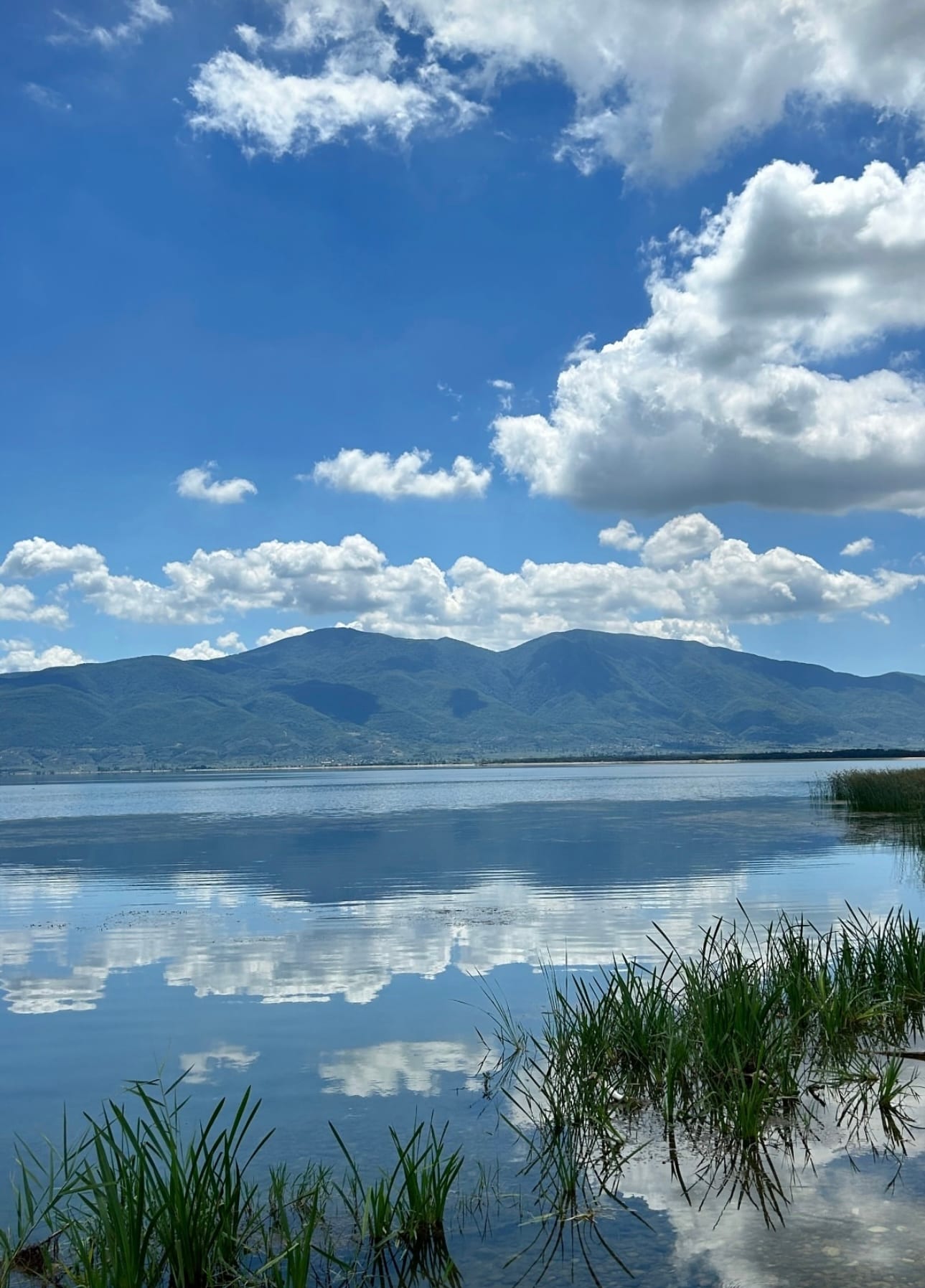 İznik Gölü panoraması